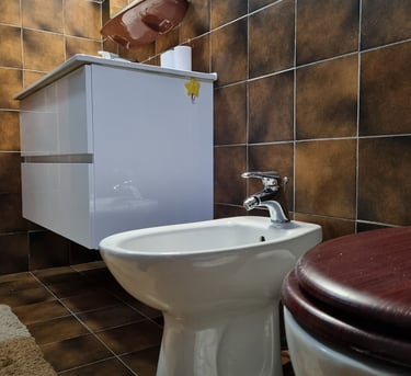 The photo shows the toilet bowl, a bidet and a cabinet with a sink in the apartment bathroom.
