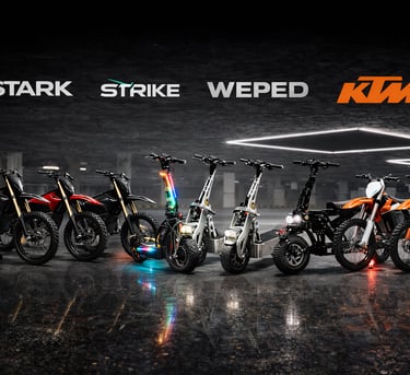 Electric Dirt Bike Bash Guard