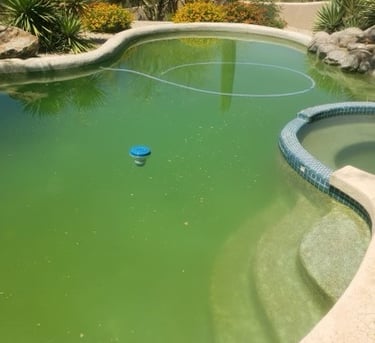 green pool needs correction