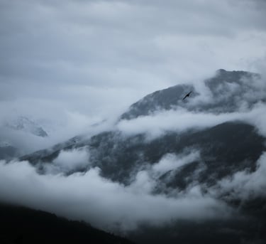 a bird flying over a mountain range in the clouds