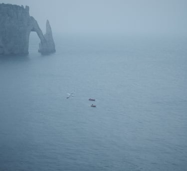 a group of birds flying over a body of water