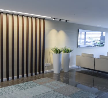 a living room with a couch and a rug