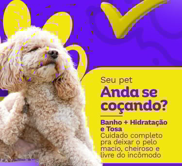 Banho e Tosa com produtos da mais alta qualidade Traty Vet