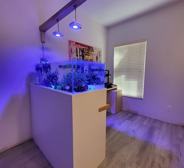 Picture of aquarium stand design by White and Wood Custom Carpentry in Orlando Florida