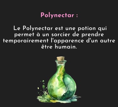 polynectar polyjuice potion harry potter cabinet curiosité potion magique décorative