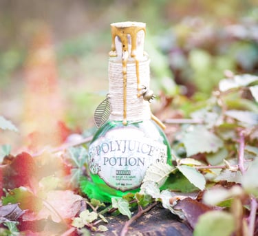 polynectar polyjuice potion harry potter potion magique décorative cabinet curiosité