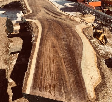 Walnut Slab