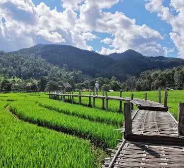 Asia travel guides