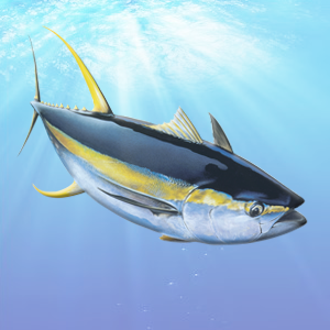 a tuna fish in the ocean with sun shining through the water