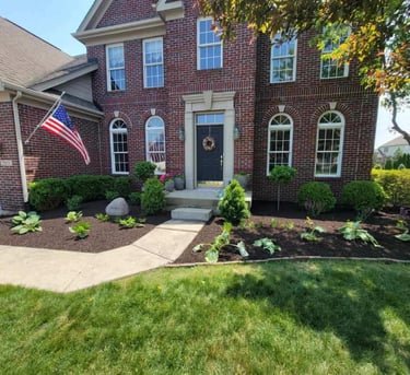 Improve your curb appeal with custom landscaping and plant installs
