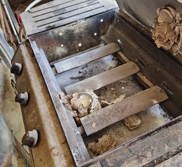 nid de frelon dans un barbecue à st médard en jalles