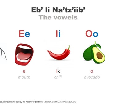 Image containing the K'eqchi' short vowels with a picture representing each vowel