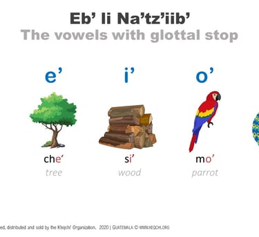 Image containing the K'eqchi' vowels with a glottal stop and with a picture representing each