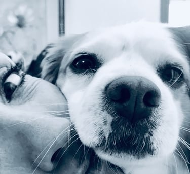 photography Me and Crika, my dog. 