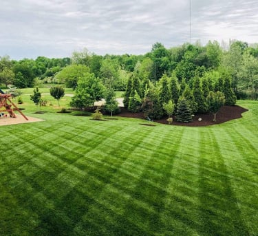 lawn mowed stripes in grass