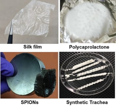 Biomaterials & Tissue Engineering