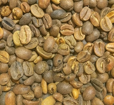 Arabica Indonesia Gayo Specialty wine process – fermented up to 60 days, fruity sweet, nutty and can