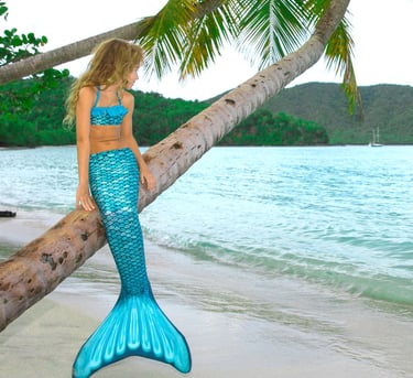 A young mermaid in a finfun teal tail. She is sitting on a tilted palm-tree, looking at the ocean.