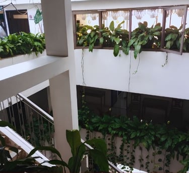 Hotel Nevado Cajamarca