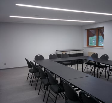 vinilinė sienu danga konferenciju salei