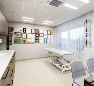 Vinilinės sienų dangos kabinetams