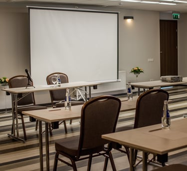 konferencines sales grindys