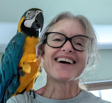 Kathy LaFollett of Murals and Canvas with her companion parrot, Butters.