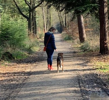 a person walking down a dirt road with a dog