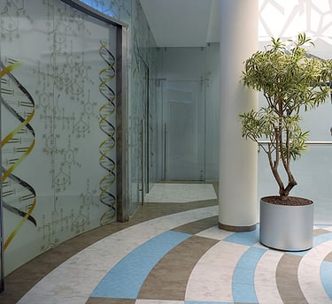 grindu sprendimai klinikoms