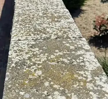 vorher-bild-steinreinigung-Franz-oberflaechentechnik