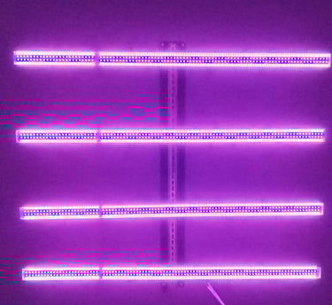 Customizable Spectrum Light