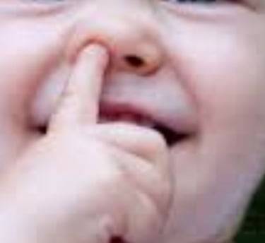 nose pick