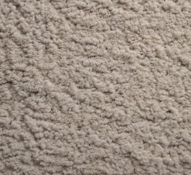  „Umweltfreundliche Teppichreinigung in Bremerhaven“