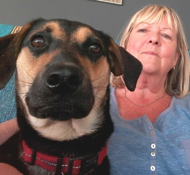 Benjji the street rescue from Cape Town