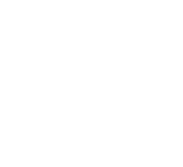Our Team