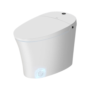 Modern smart toilet