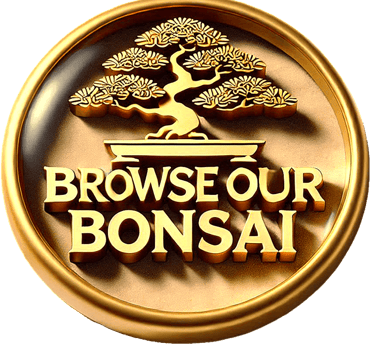 link to browse our bonsai shop