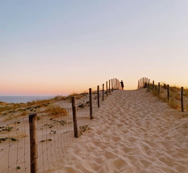 plage ocean cap ferret