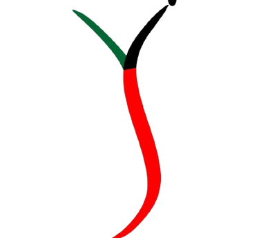 Indabian Smart Vision