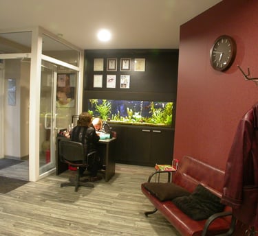 Amtico LVT grindys grozio salone