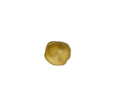 Colpomenia sinuosa