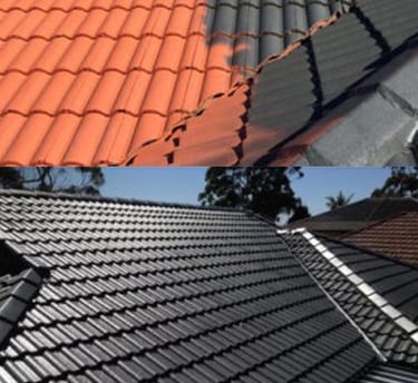 ROOF PAINTING SERVICES