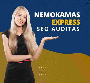 Nemokamas express seo auditas