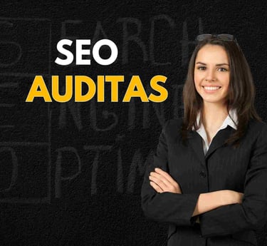 Seo auditas