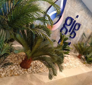 new green touch landscaping in Egypt