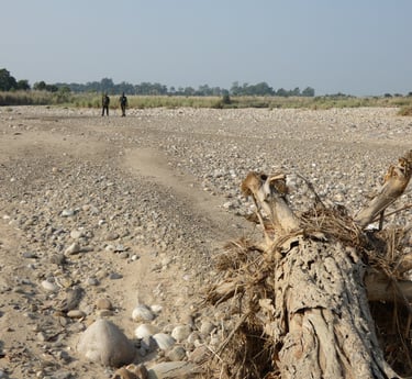 guides scouting the terrain