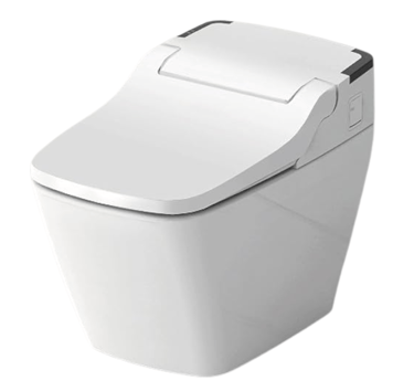 VOVO Shower Toilet