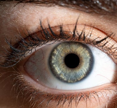 studio photo photohraphie iris narbonne