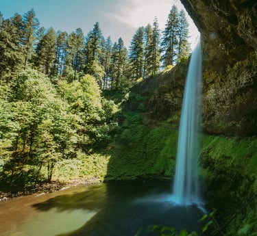Salem, OR - South Falls area is home to the 7 Dwarfs at Silver Falls State Park