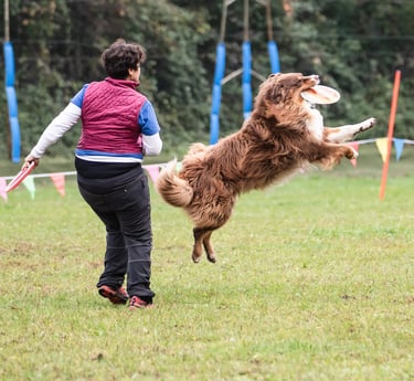 eleducane_disc_dog_sport_divertimento_addestratrice_cinofila